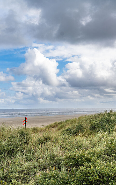 Newsletter von Juist - monatliche Juistpost - Bild vom Strand auf Juist mit Dünenlandschaft