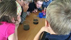 Children's university sustainable living on Juist