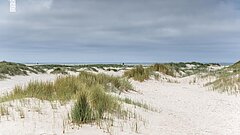 Nordseeurlaub auf Juist - Dünen und naturbelassener Strand