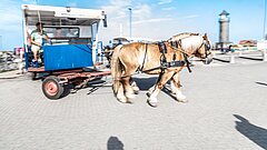 Barrierearmes Reisen auf Juist mit Pferdekutschen an der Nordsee