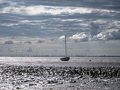 Wattenmeer auf Juist