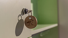 Detail in der Ausstellung innen im Nationalpark-Haus auf Juist