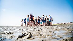 Eine Gruppe bei einer Wattwanderung auf Juist steht in einiger Entfernung und bekommt etwas gezeigt
