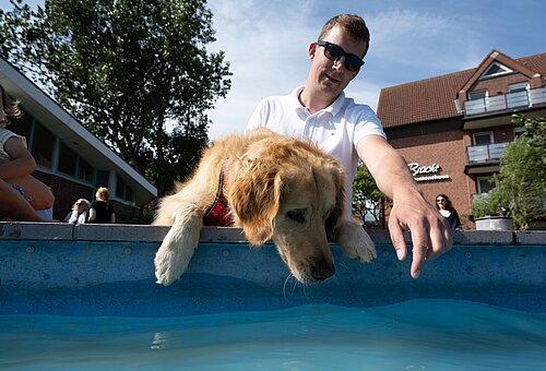 Urlaub mit Hund auf Juist