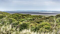 Sicht aufs Wattenmeer zwischen Festland und Juist