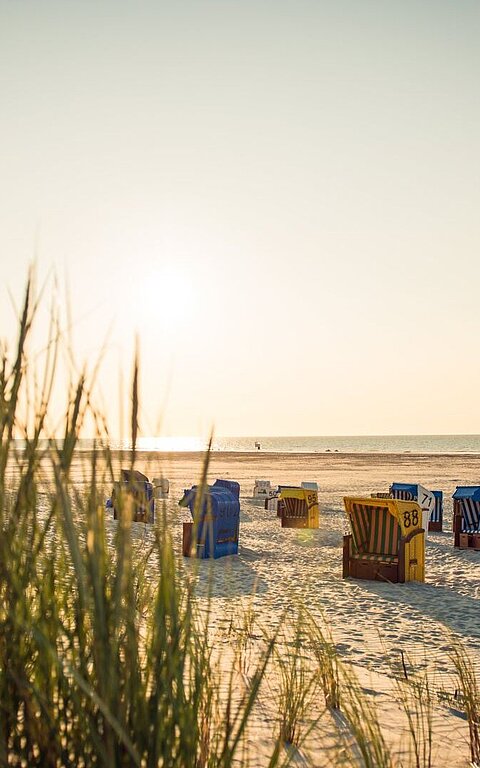 Aussicht auf den Juister Strand mit Strandkörben