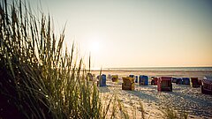 Aussicht auf den Juister Strand mit Strandkörben