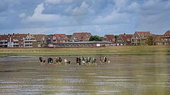 Gruppe bei einer Wattwanderung auf Juist