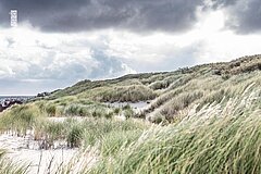 Juister Dünenlandschaft am Strand mit dunklem Himmel