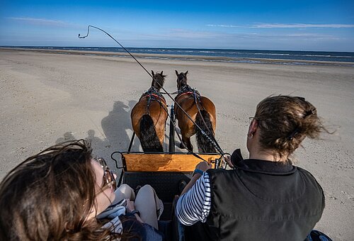 Kutsche am Strand auf Juist