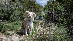 Tagesausflug nach Juist