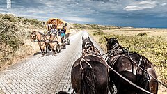 Ankunft auf der Autofreien Insel Juist mit der Kutsche