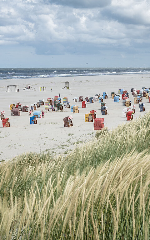 Strandkörbe auf Juist am Strand