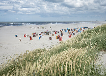 Strandkörbe auf Juist am Strand