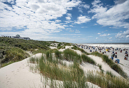 Thalassowege auf Juist - Blick auf den Strand und die Dünen auf Juist