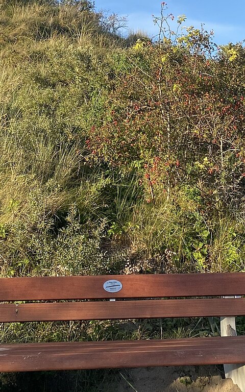 Juister Wunschbänke - Blick auf die Sitzbank am Strandabgang Schoolpad an der Strandpromenade