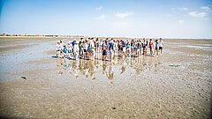 Wattwanderung auf Juist