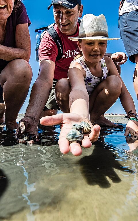 Wattwanderung auf Juist