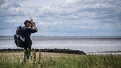 Nationalpark-Ranger beobachtet Vögel auf dem Wattenmeer am Kalfamer auf Juist mit Fernglas in Richtung Wattenmeer