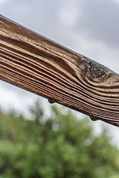 Herbsturlaub auf Juist - Nahaufnahme eines Holzbohlen an einer Aussichtsplattform auf Juist mit Regentropfen