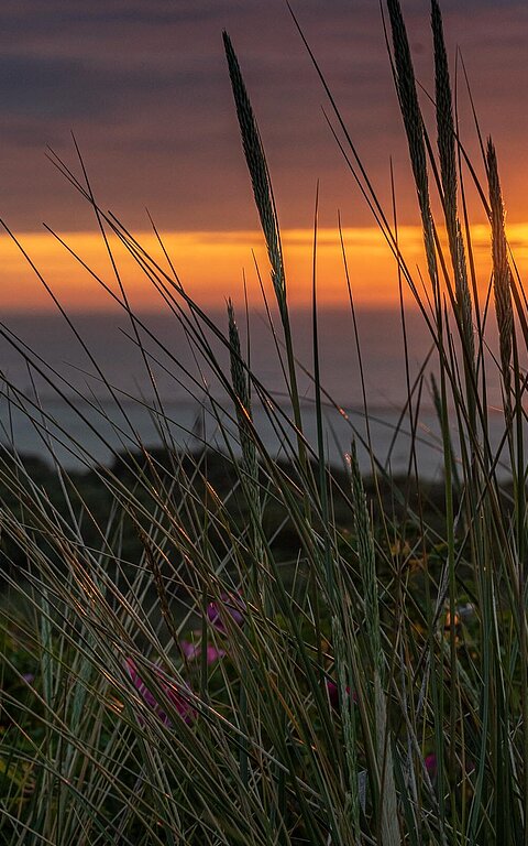 Sonnenuntergang am Strand auf Juist